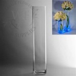 Extra Tall Clear Glass Vases