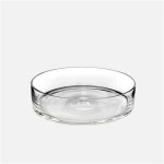 Shallow Glass Bowl